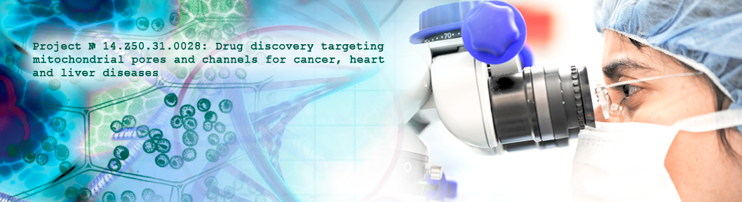 Project 14.Z50.31.0028: Drug discovery targeting mitochondrial pores and channels for cancer, heart and liver diseases